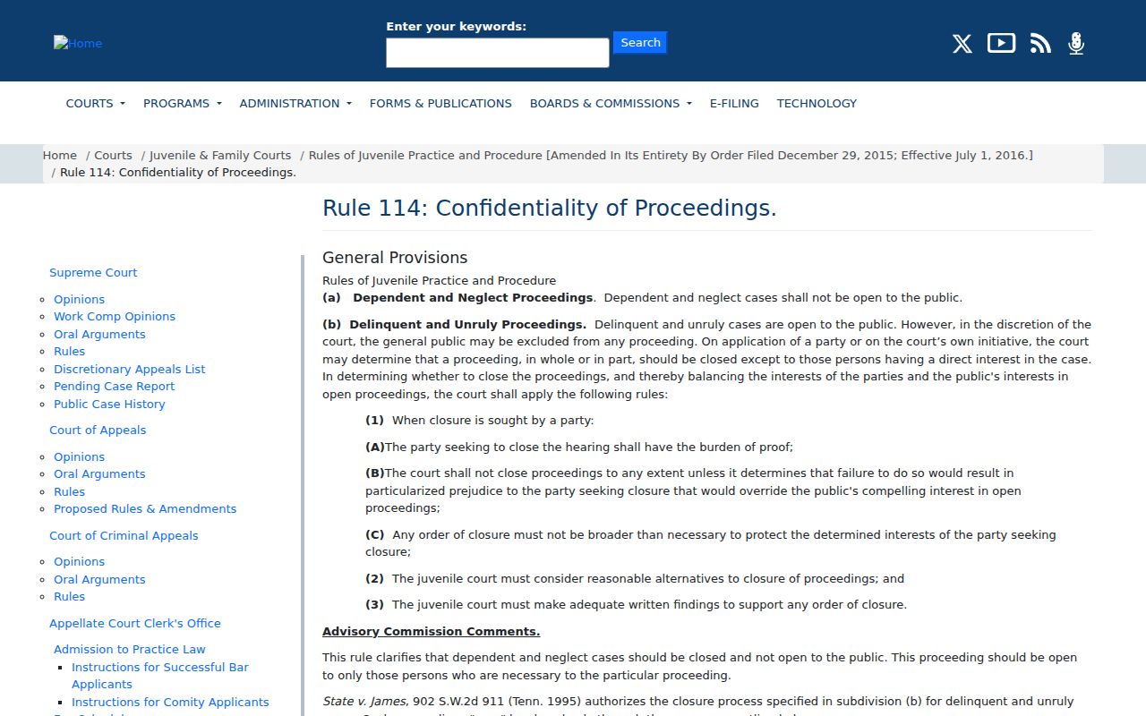 Tennessee juvenile confidentiality rule for Hardeman County civil court dockets